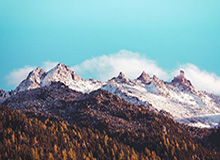 开云体育下载APP-赵继伟通过CBA体测今晚复出